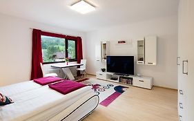 W & S Executive Apartments - Obertraun